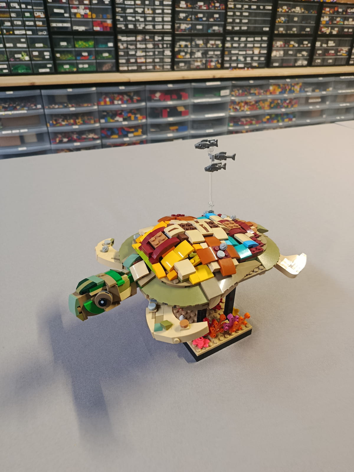 MOC La Tortue Marine — Vue d'ensemble